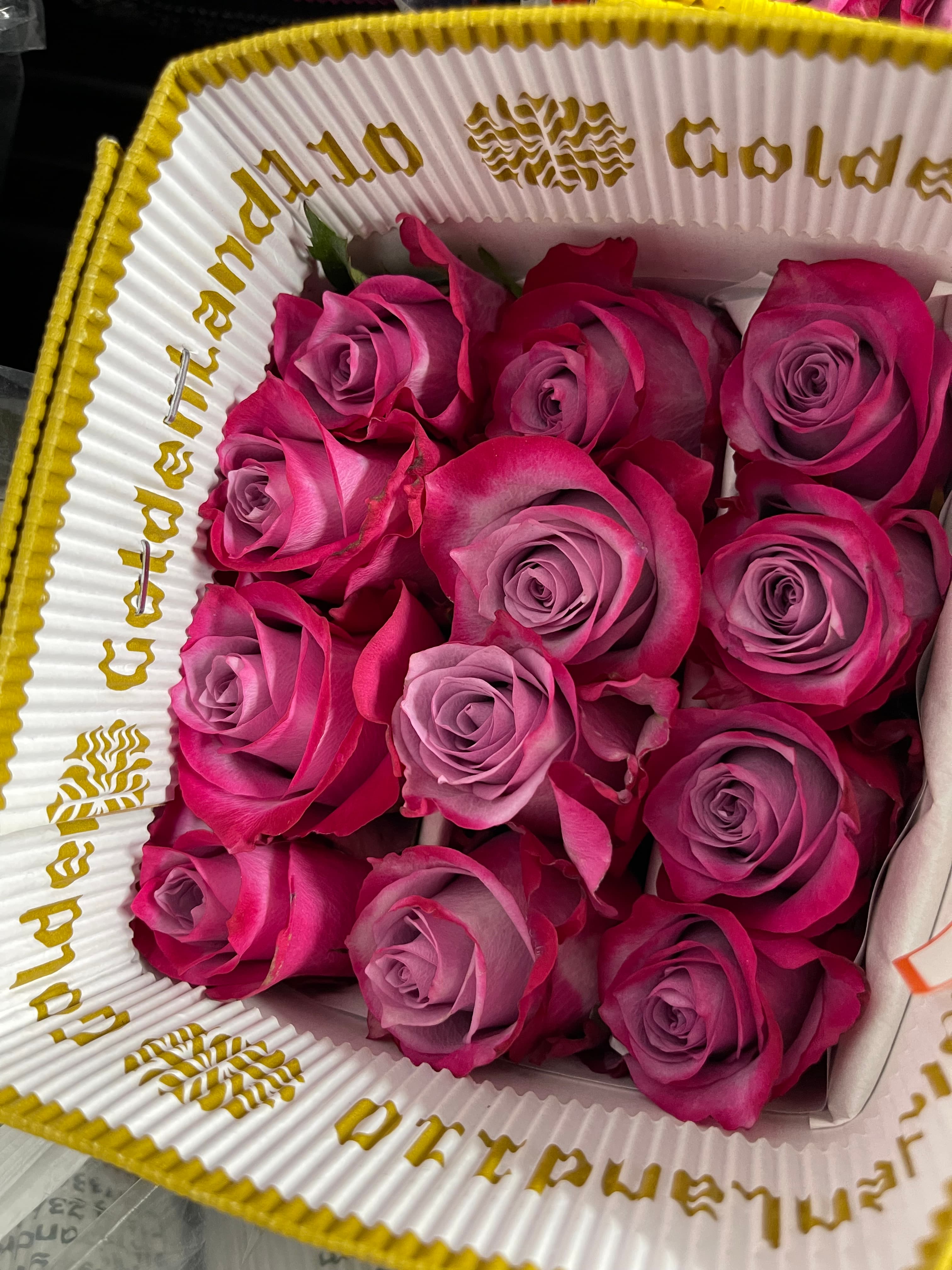 Vibrant magenta roses with lavender centers packed in a white corrugated box with gold text.