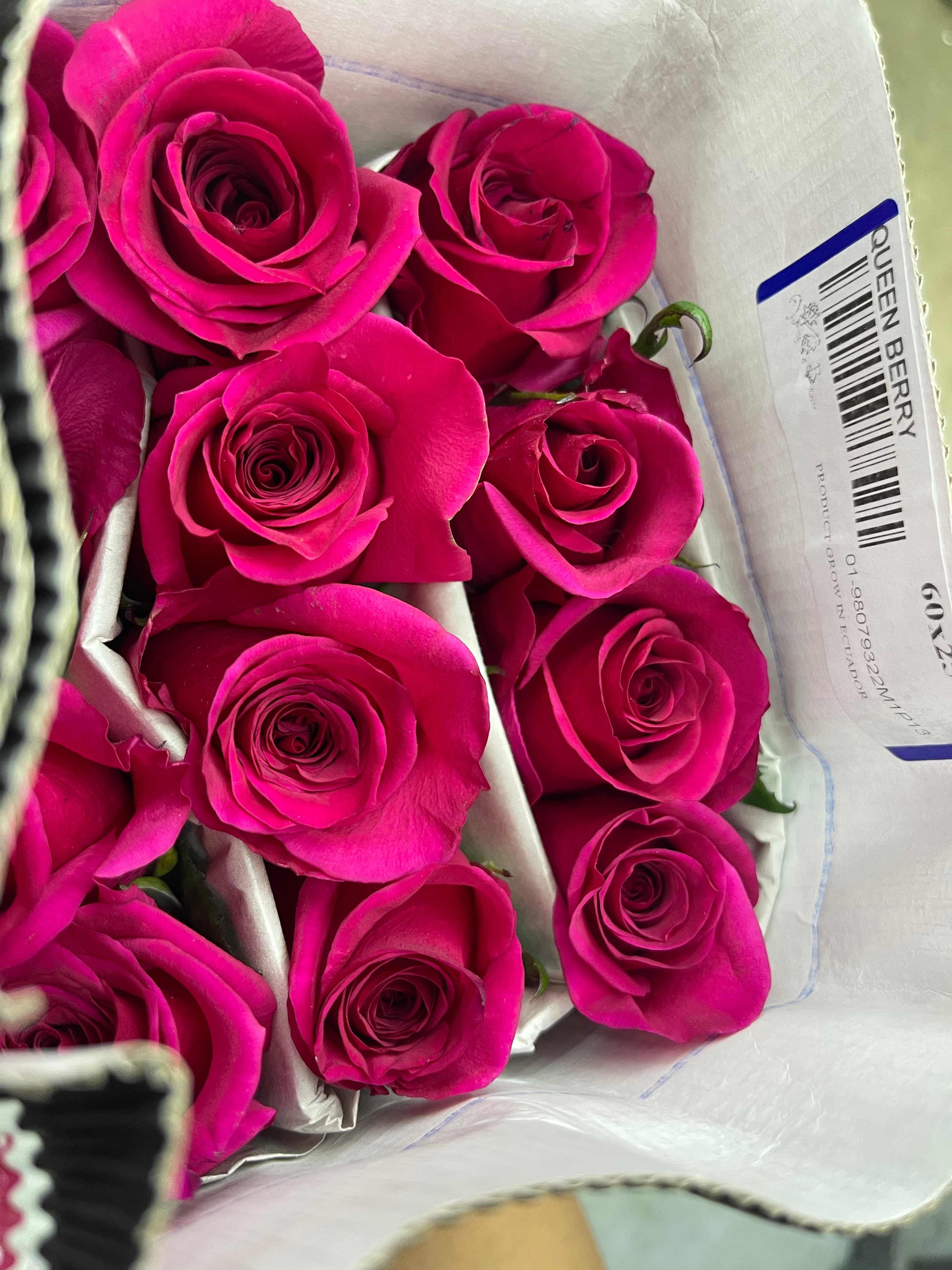 Vibrant magenta roses tightly packed in a white shipping box with a Queen Berry label.