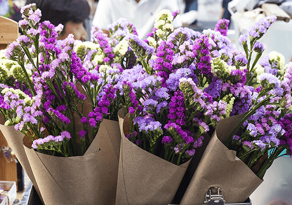 Bouquets of purple, lavender, and white statice flowers wrapped in brown kraft paper cones.