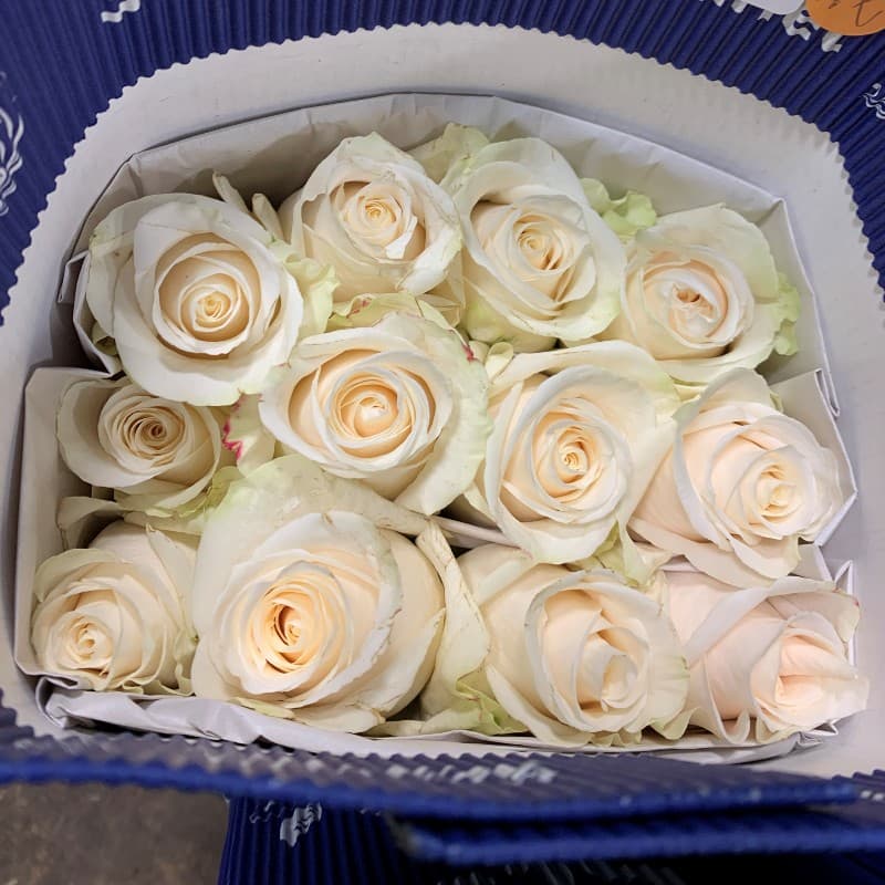 Cream-colored roses with soft, layered petals tightly packed inside a blue corrugated cardboard box.