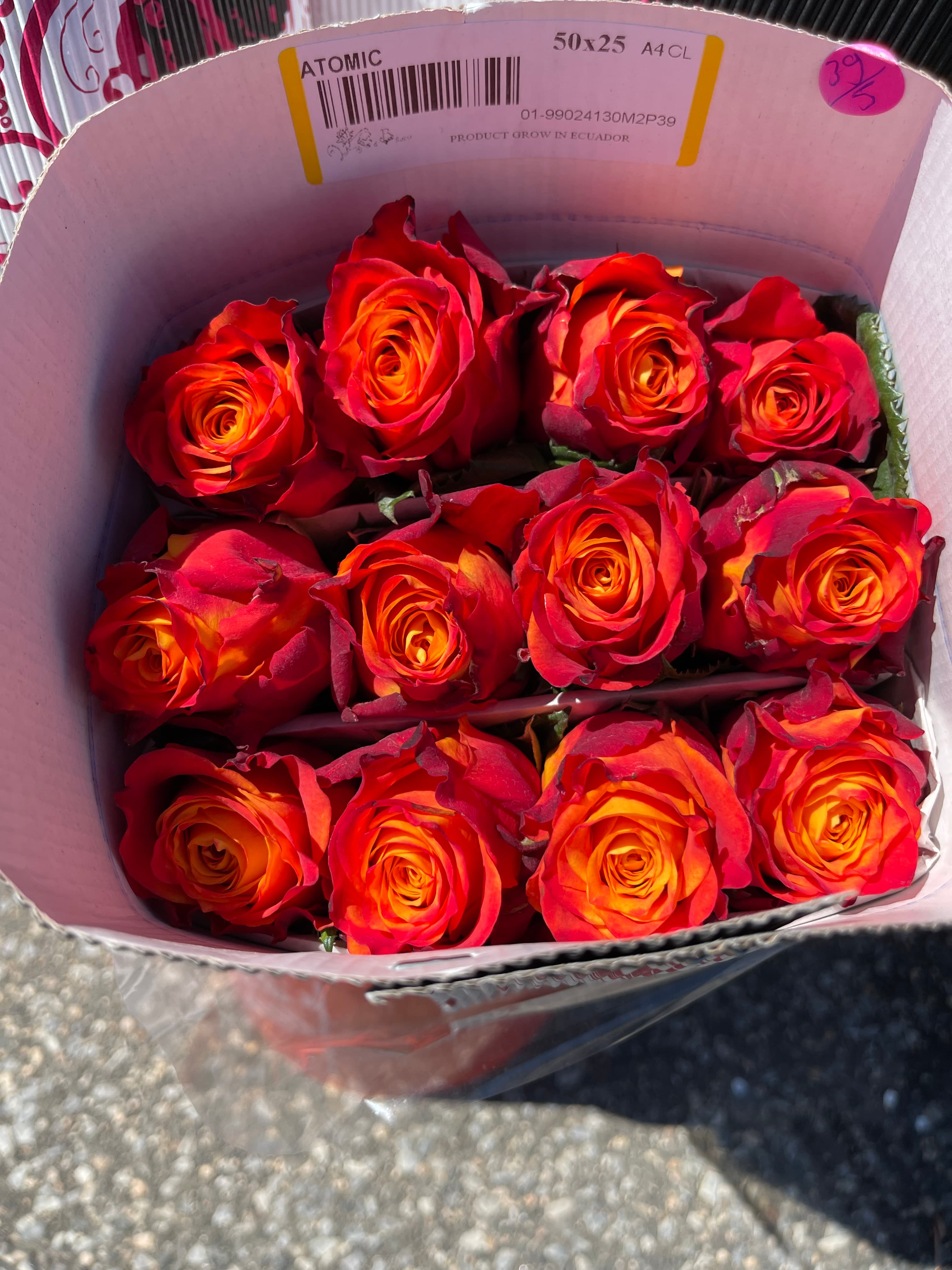 Vibrant red and orange roses with a fiery gradient packed tightly in a white box.