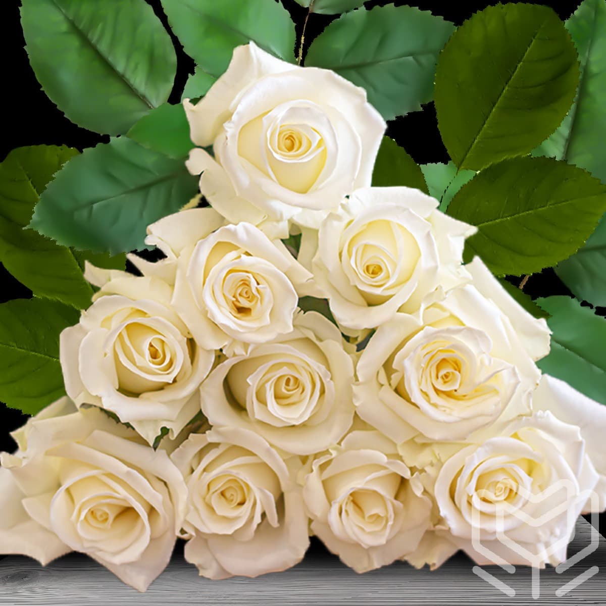 Pyramid arrangement of creamy white roses with green leaves against a solid black background.