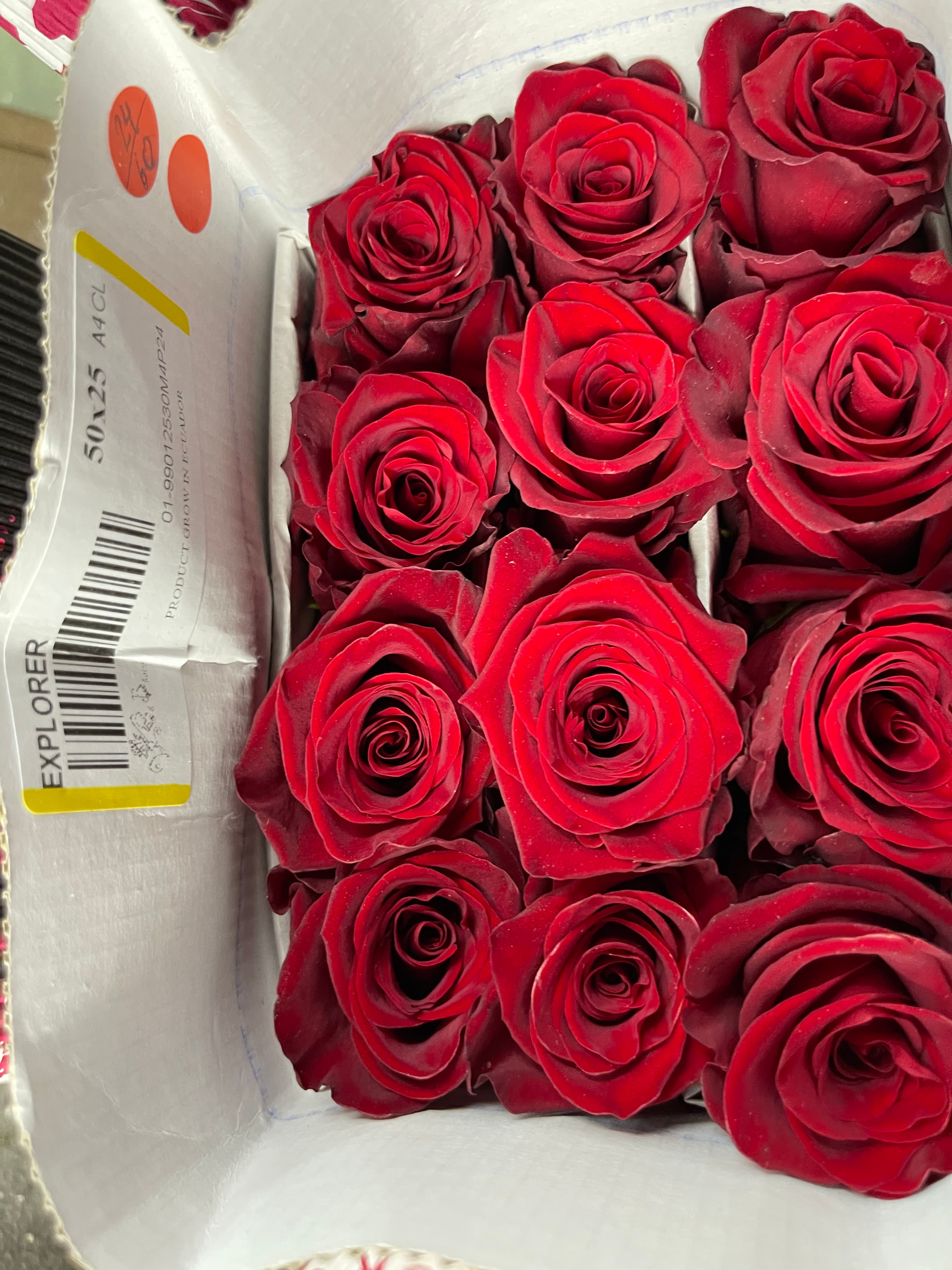 Rows of lush, deep red roses packed tightly inside a white cardboard shipping box.
